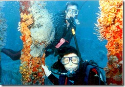 Gwen Hamlin: Guiding guests on the RMS Rhones was a weekly dive.  Gwen Hamlin: Guiding guests on the RMS Rhones was a weekly dive.